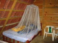 Mosquito, Insect & Bugs Netting					