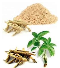 Herbal and Ayurvedic Extract						