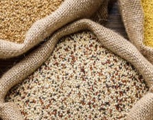 Food Grains, Cereals & Flour						